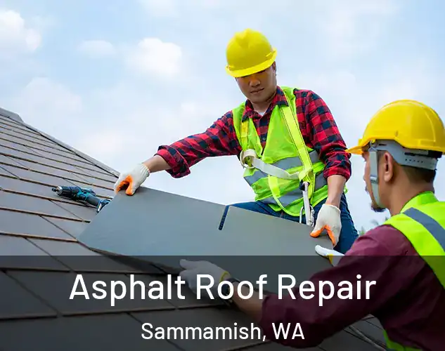  Asphalt Roof Repair Sammamish, WA