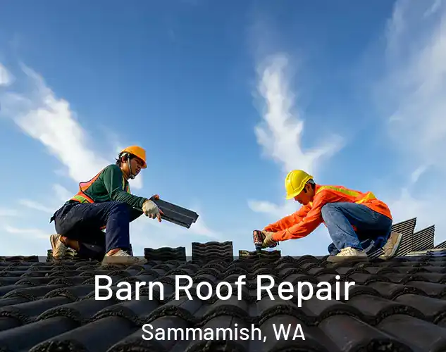  Barn Roof Repair Sammamish, WA