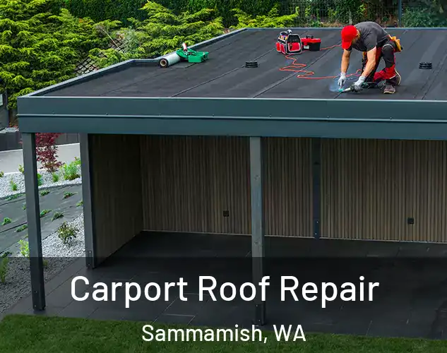  Carport Roof Repair Sammamish, WA