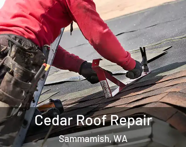  Cedar Roof Repair Sammamish, WA