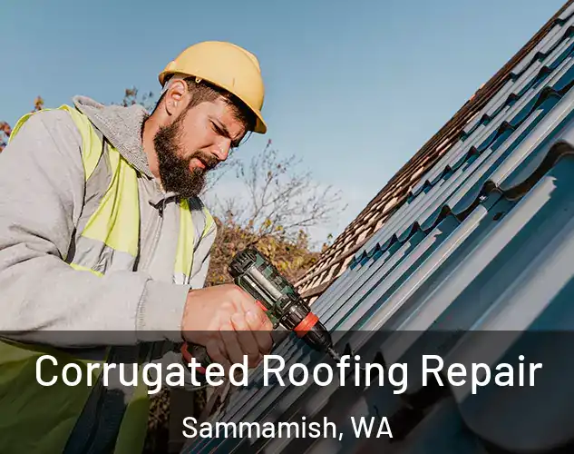  Corrugated Roofing Repair Sammamish, WA