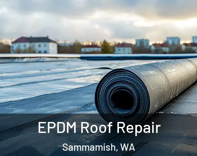  EPDM Roof Repair Sammamish, WA