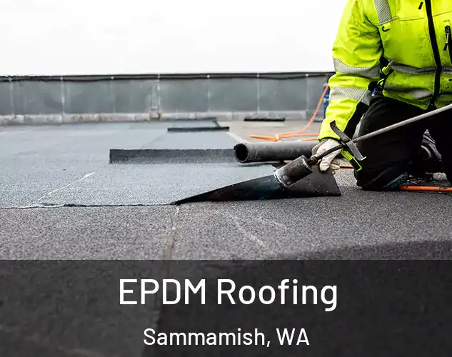  EPDM Roofing Sammamish, WA