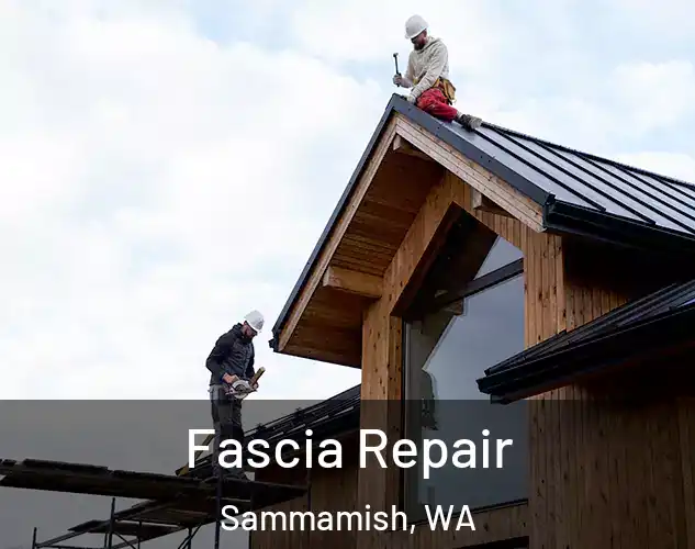  Fascia Repair Sammamish, WA