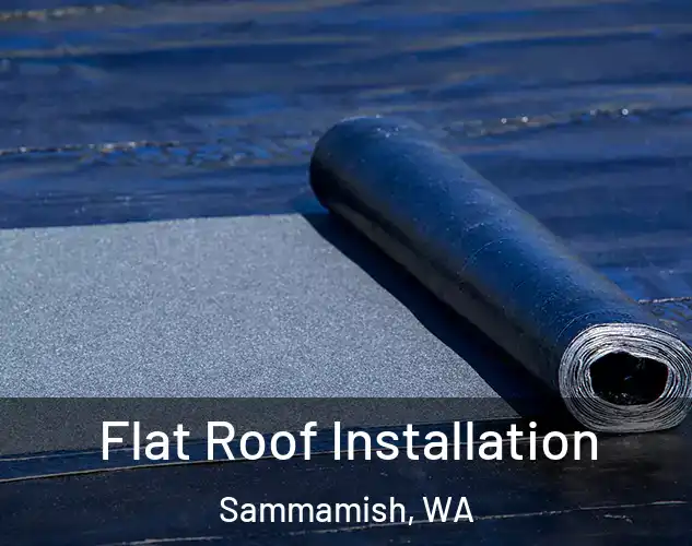  Flat Roof Installation Sammamish, WA