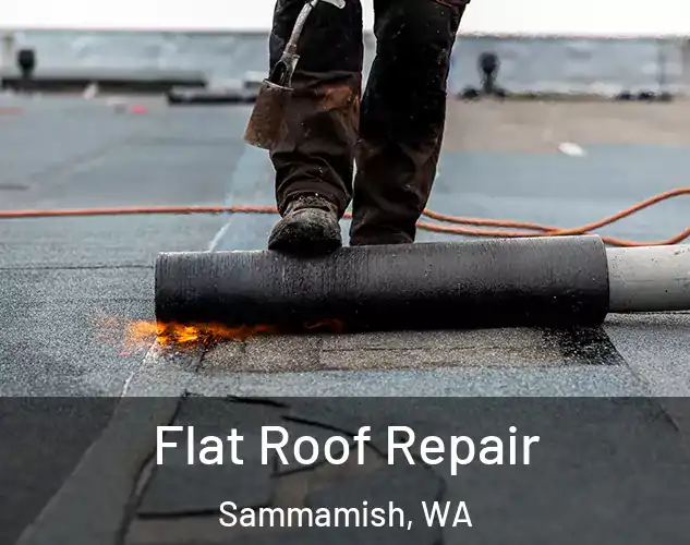  Flat Roof Repair Sammamish, WA