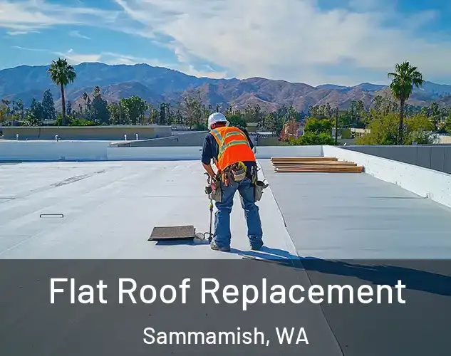  Flat Roof Replacement Sammamish, WA