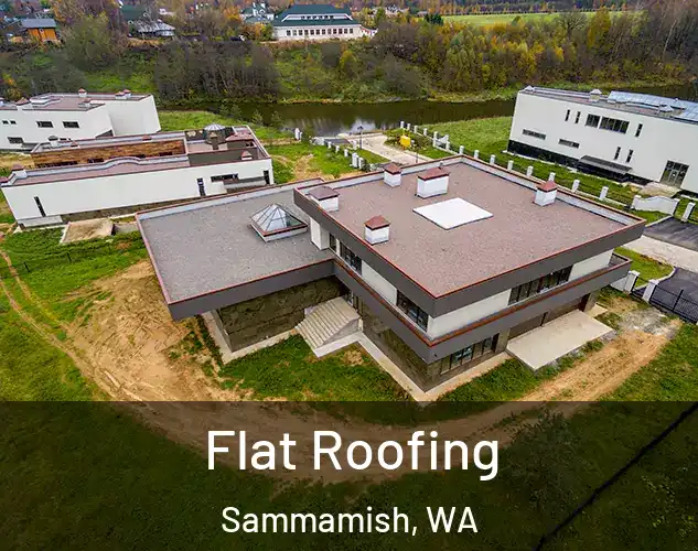  Flat Roofing Sammamish, WA
