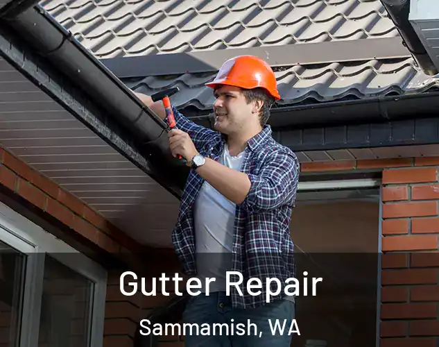  Gutter Repair Sammamish, WA