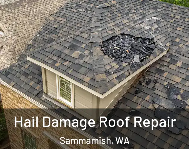  Hail Damage Roof Repair Sammamish, WA