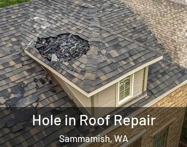  Hole in Roof Repair Sammamish, WA