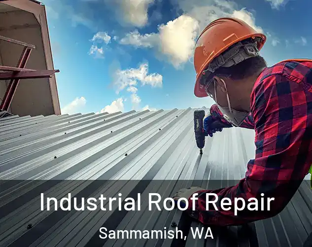 Industrial Roof Repair Sammamish, WA