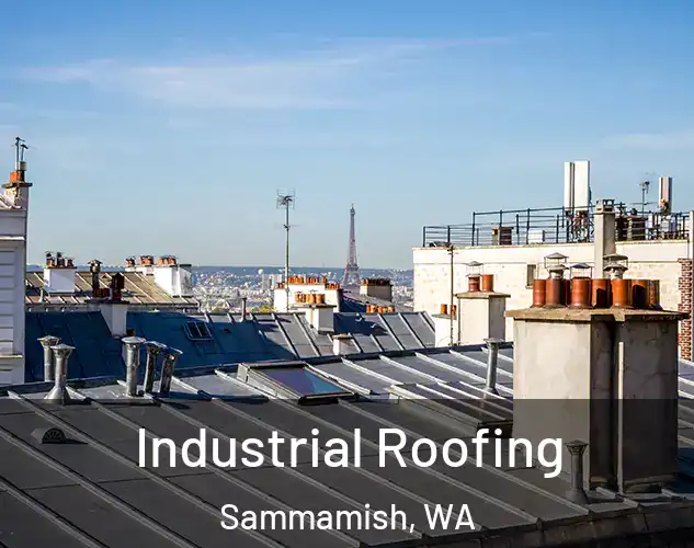  Industrial Roofing Sammamish, WA