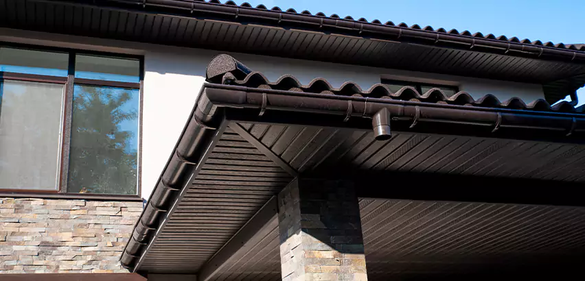 Soffit Damage Repair in Sammamish