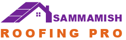 Sammamish Roofing Pro