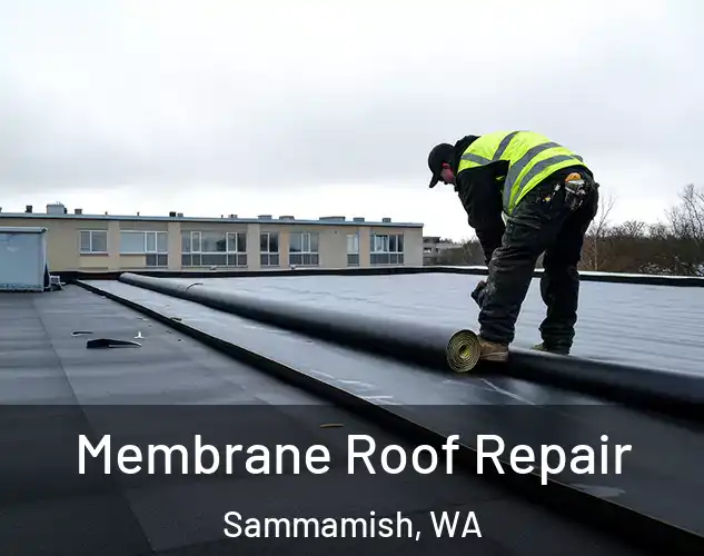  Membrane Roof Repair Sammamish, WA