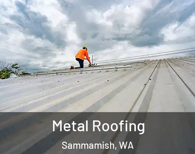  Metal Roofing Sammamish, WA