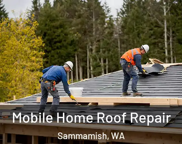  Mobile Home Roof Repair Sammamish, WA