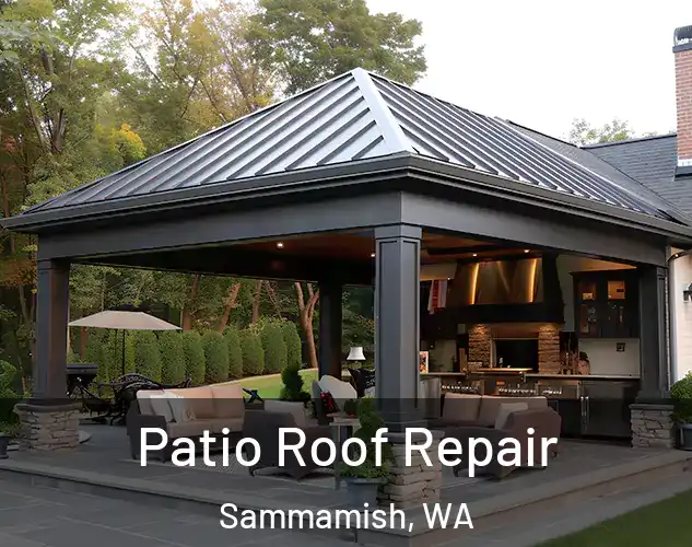  Patio Roof Repair Sammamish, WA