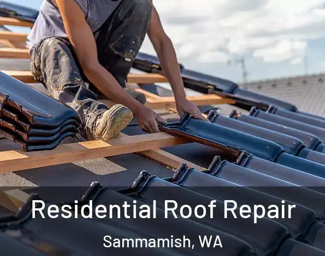  Residential Roof Repair Sammamish, WA