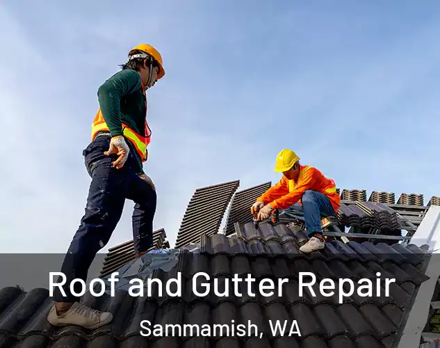  Roof and Gutter Repair Sammamish, WA