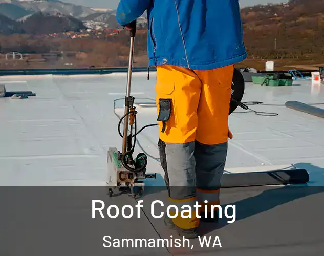  Roof Coating Sammamish, WA