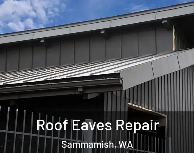  Roof Eaves Repair Sammamish, WA