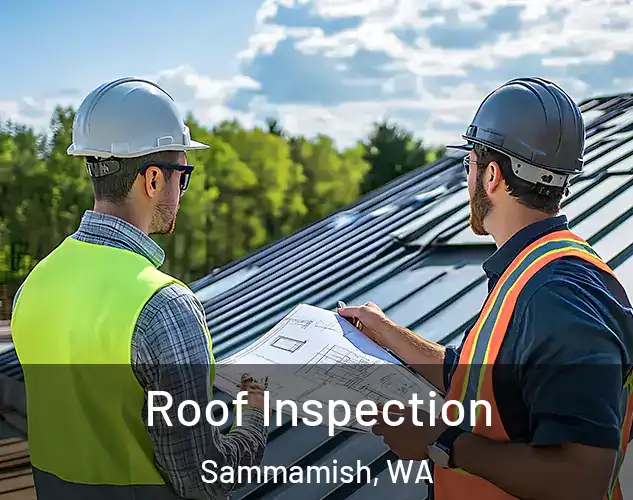  Roof Inspection Sammamish, WA