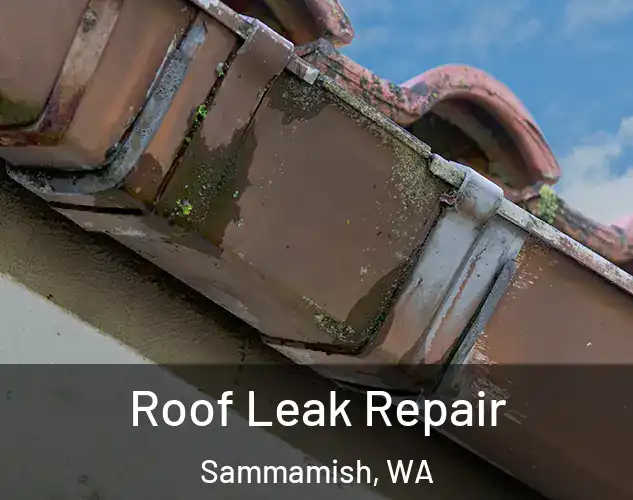  Roof Leak Repair Sammamish, WA