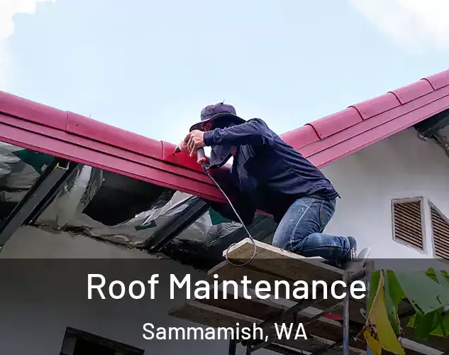  Roof Maintenance Sammamish, WA