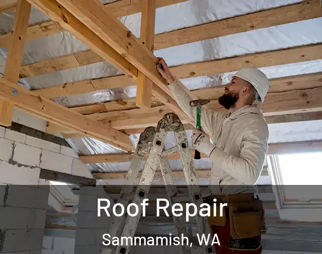  Roof Repair Sammamish, WA
