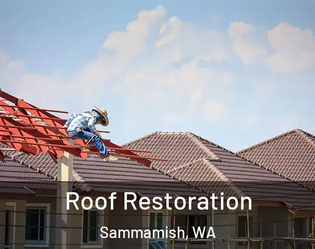  Roof Restoration Sammamish, WA