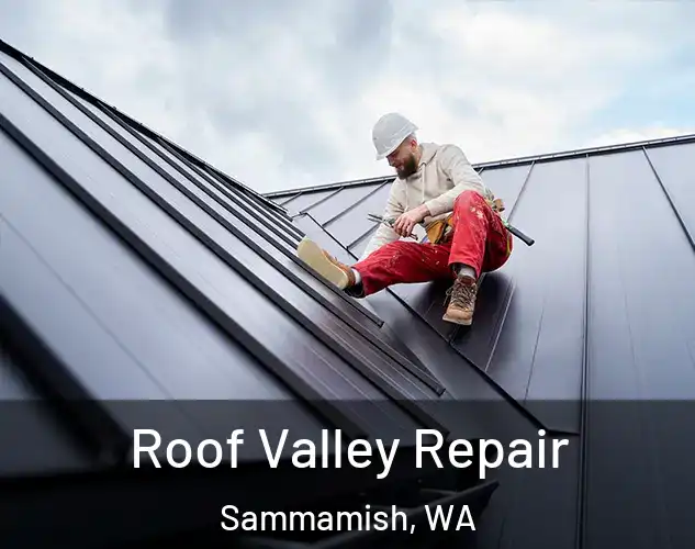  Roof Valley Repair Sammamish, WA