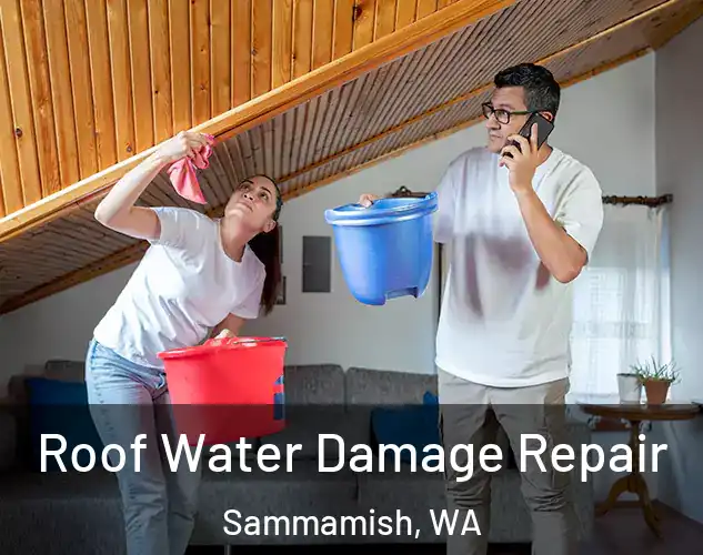  Roof Water Damage Repair Sammamish, WA