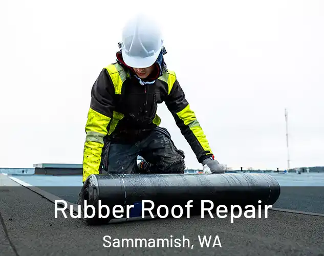  Rubber Roof Repair Sammamish, WA