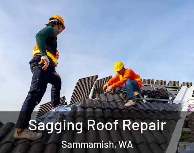  Sagging Roof Repair Sammamish, WA