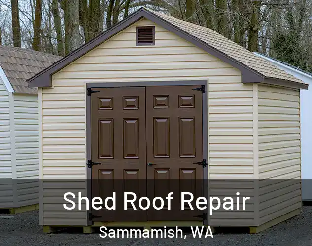  Shed Roof Repair Sammamish, WA