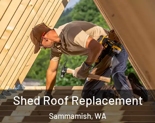  Shed Roof Replacement Sammamish, WA