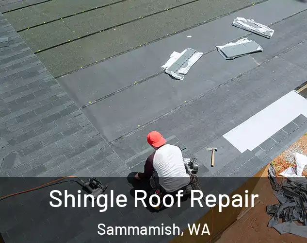  Shingle Roof Repair Sammamish, WA