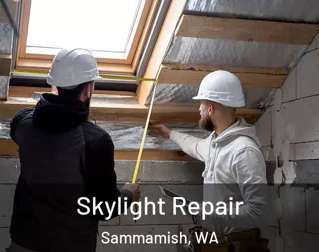  Skylight Repair Sammamish, WA