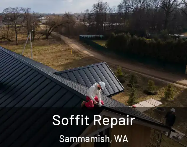  Soffit Repair Sammamish, WA