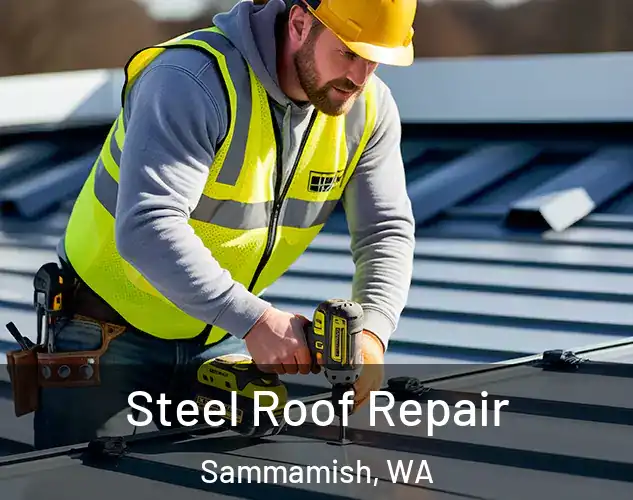  Steel Roof Repair Sammamish, WA