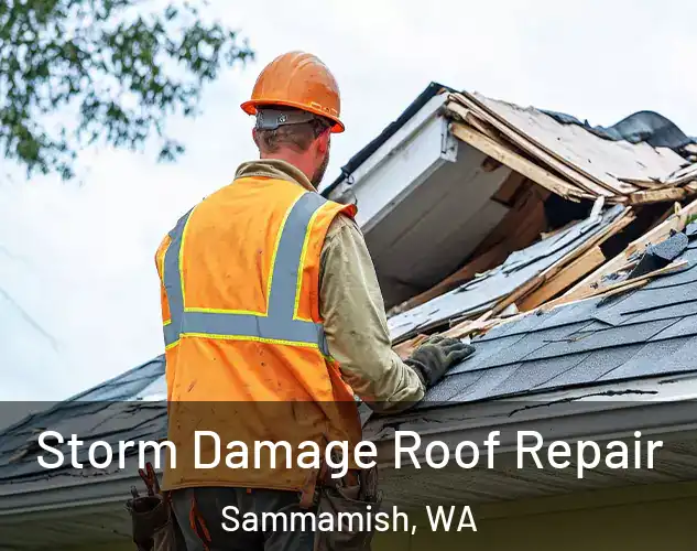 Storm Damage Roof Repair Sammamish, WA