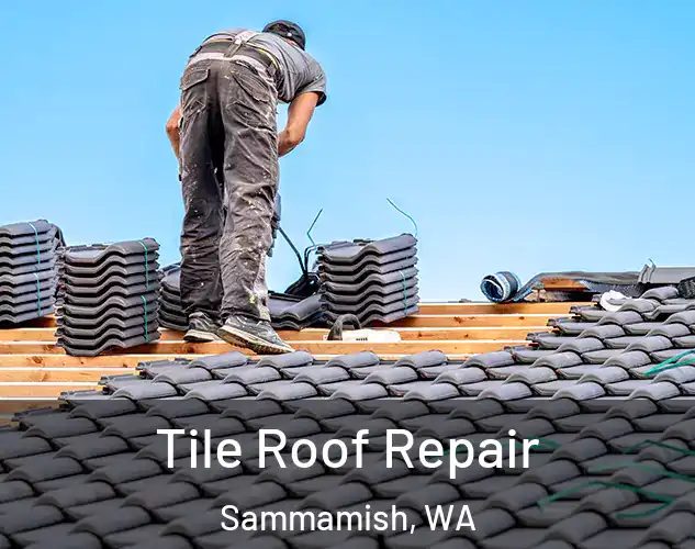  Tile Roof Repair Sammamish, WA