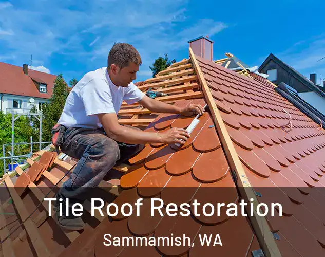  Tile Roof Restoration Sammamish, WA
