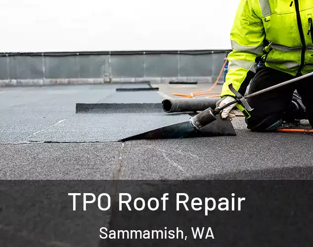  TPO Roof Repair Sammamish, WA