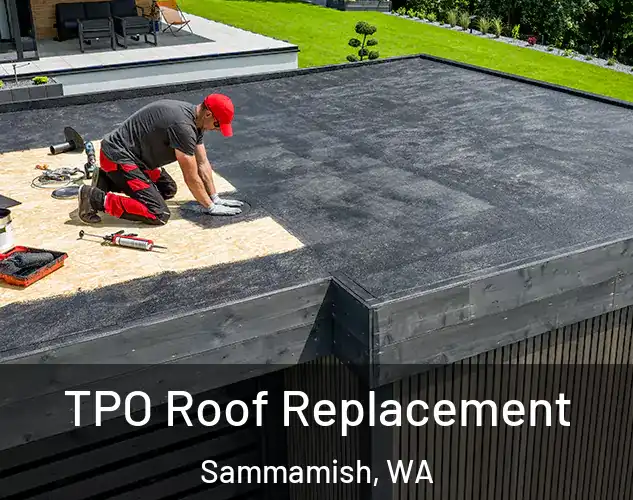  TPO Roof Replacement Sammamish, WA