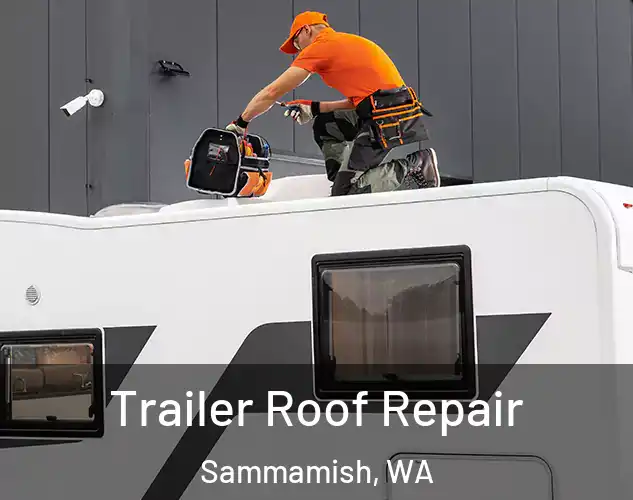  Trailer Roof Repair Sammamish, WA